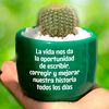 mary_coelloo