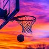 tracihoops22