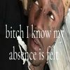katelyn.archive