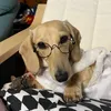 userm0a9bncare