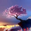 tenaciousdream5