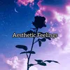 aesthetic_feellings_