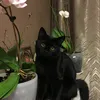 asya_vasya555