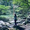j_lia077