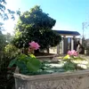 09t20310099