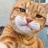 orangasing_88