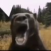 fauzanjay0