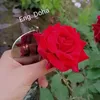 eng.doha