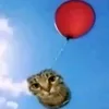 tergemp