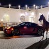 hamad66000