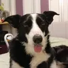 goodgirlkarax