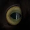 m4xw3ll1