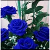 amdadshah526i.help.you