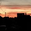 _mamedov21