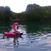 andressanro_
