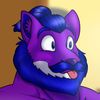 kontahusky