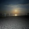 nicolxs_77