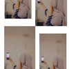 ludfy_sidqia