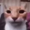lessname