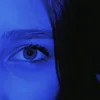 dyra_521