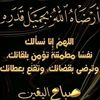 hassankamelhamad2