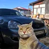 tyfdrjji67