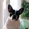 evchik_03