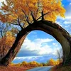 jawad_maghribi