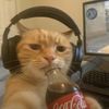 kuz.22061mhz_