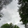 michaelflaherty27