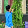 mhamad_alwizein