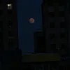 teg_deda