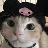 bunnyrosita6