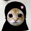 mddddddddd772