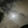 devan_545
