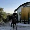 jaafarmahmoud16