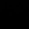 naii.221