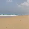 oneckad