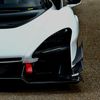 senna_gtr