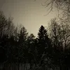 tzxcg.m