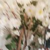 mi_pensamient0