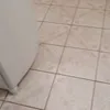 laertenunescordeiro0
