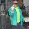 themechanic61