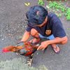 ndaa_ndoot_23