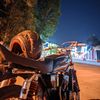 fer23_4889