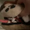 mr_editscollector