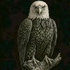 barbaros_666