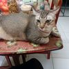 rohaniyusoff96