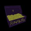 foot_fungusllc