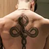 xc_dg